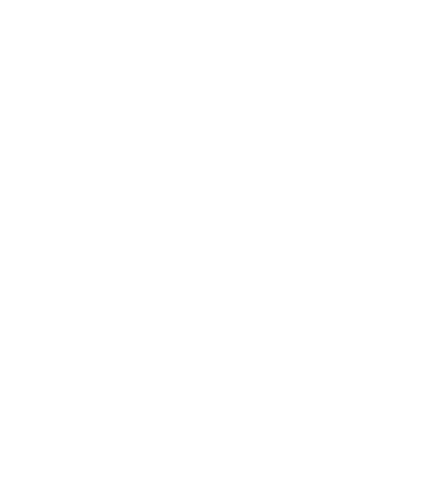 Логотип NEIMESH